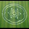 Crop circle showing singularity geometry at the center of an apparent black hole geon
