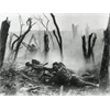 The Jewish Hand in the World Wars, Part 1