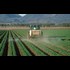 Scientists shocked as common pesticides are confirmed to accelerate puberty in boys by drastically altering hormone production - WAKING SCIENCE