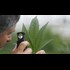 DEA approves synthetic marijuana for big pharma company against legalization. Proof DEA is totally corrupt