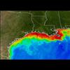 Tyson Foods Linked to the Largest Toxic Dead Zone in U.S. History