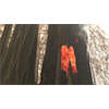 More Proof! CA/OR Underground Lightning Fires and New Excuse to Shut Down Forests