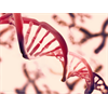 Shocking vaccine truth: Hundreds of cancer genes are deliberately engineered into the MMR vaccine to promote cancer for generations to come