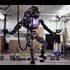 Watch Google's Humanoid Robot 