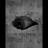 7 Eye (I) Wonders of the United States (Conspiracy theories & Mysterious structures)