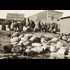 The Chemist's War: The little-told story of how the U.S. government poisoned alcohol during Prohibition with deadly consequences.