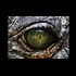 Earth's Rich Reptilian History. Serpent Race of Royalty, and Your Reptilian Brain