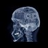 The brainwashing mechanism of culture.