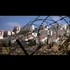 UN Human Rights Council Will Monitor Corporations Operating in Occupied Palestine