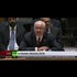 UNSC vetoes rival resolutions on Syria sponsored by Russia and France