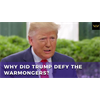 Why did Trump defy the warmongers, and decide not to attack Iran?