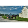 Michigan county threatens to demolish 14 Amish homes unless they give up their religious beliefs and upgrade their homes