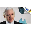 Press Misreporting Assange Pardon Offer From Trump