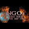NGOS ARE THE DEEP STATE'S TROJAN HORSES