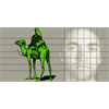 Film Reveals Never-Before-Seen Information About the Silk Road Case