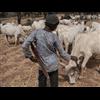 Muslim Militants Burn Alive Christian Pastor and His Family in Nigeria - ( Black Nigerian Christians face the possibility of this everyday, while you pop another chocolate into mouth. )