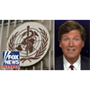 Tucker obtains draft letter showing US on brink of restoring WHO funding