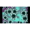 Did Jack London Foretell Corona virus in 1910? - Coronavirus Rising | KMN LIVE feat. Christopher Jon Bjerknes