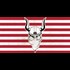 Europes Newest Vigilante Group Lands In The U.S.