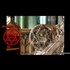 Hexagram - whose star is it really?