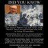 Something you should know about 9/11