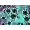 Iran: Regime Change by Coronavirus?