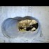 Hatton Garden Ringleader finds evidence of VIP Paedo scandal during an earlier job.