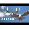 WOW: BIRDS ATTACK TOWER OF DEATH!