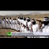 US military in Afghanistan: 15 years of invasion