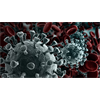 CONFIRMED: CoVid-19 coronavirus found to contain unique