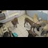 US senators son charged with killing 21 dogs (2014)
