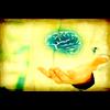 OPIOIDS ARE MIND-CONTROL DRUGS MKULTRA IS ALIVE AND WELL