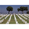SHOCKER: COMPARING DEATHS FROM MEDICAL TREATMENT, VITAMINS AND ALL US WARS