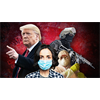 RED ALERT: President Trump
