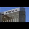 MGM FILES OUTRAGEOUS LAWSUIT AGAINST VICTIMS OF LAS VEGAS SHOOTING