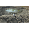 Climate Change is Devastating India With Heat Waves and Water Shortages