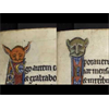 Occult Mysteries of Star Wars
