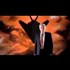 Leaked Illuminati Training Video from Anonymous