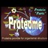 Fractals, and Understanding our Physical Matrix. Human Machine, and Evolution Conspiracy