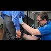The TSA Is A Milgram Experiment