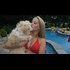 Famous Dogs in Entertainment History