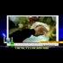 The real reporters of Fake News are from the MSM ie; BBC Caught Staging Fake Chemical Attack to Demonize the Assad Regime
