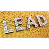 Children exposed to lead have a SIGNIFICANTLY increased risk of mental illness - are we witnessing a lead-poisoned society going insane?