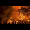 Are fires being used to strategically smoke-out Westerners into supporting climate change policies? Humans start over 84% of forest fires, yet media blames global warming.