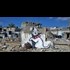 Banksy filmed himself sneaking into Gaza to paint new artwork