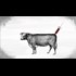Artificial Meat WARNING: Here's what you're not being told about lab-grown meat