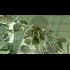 10 Shocking CIA Operations