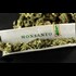 Monsanto and Bayer are Maneuvering to Take Over the Cannabis Industry