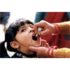 VACCINE INSANITY: Multiple strains of deadly pig virus discovered in Rotavirus oral vaccines with no legitimate reason for their use