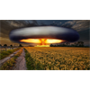 Deep state desperation: A false flag is their last remaining option to save themselves from being exposed and destroyed